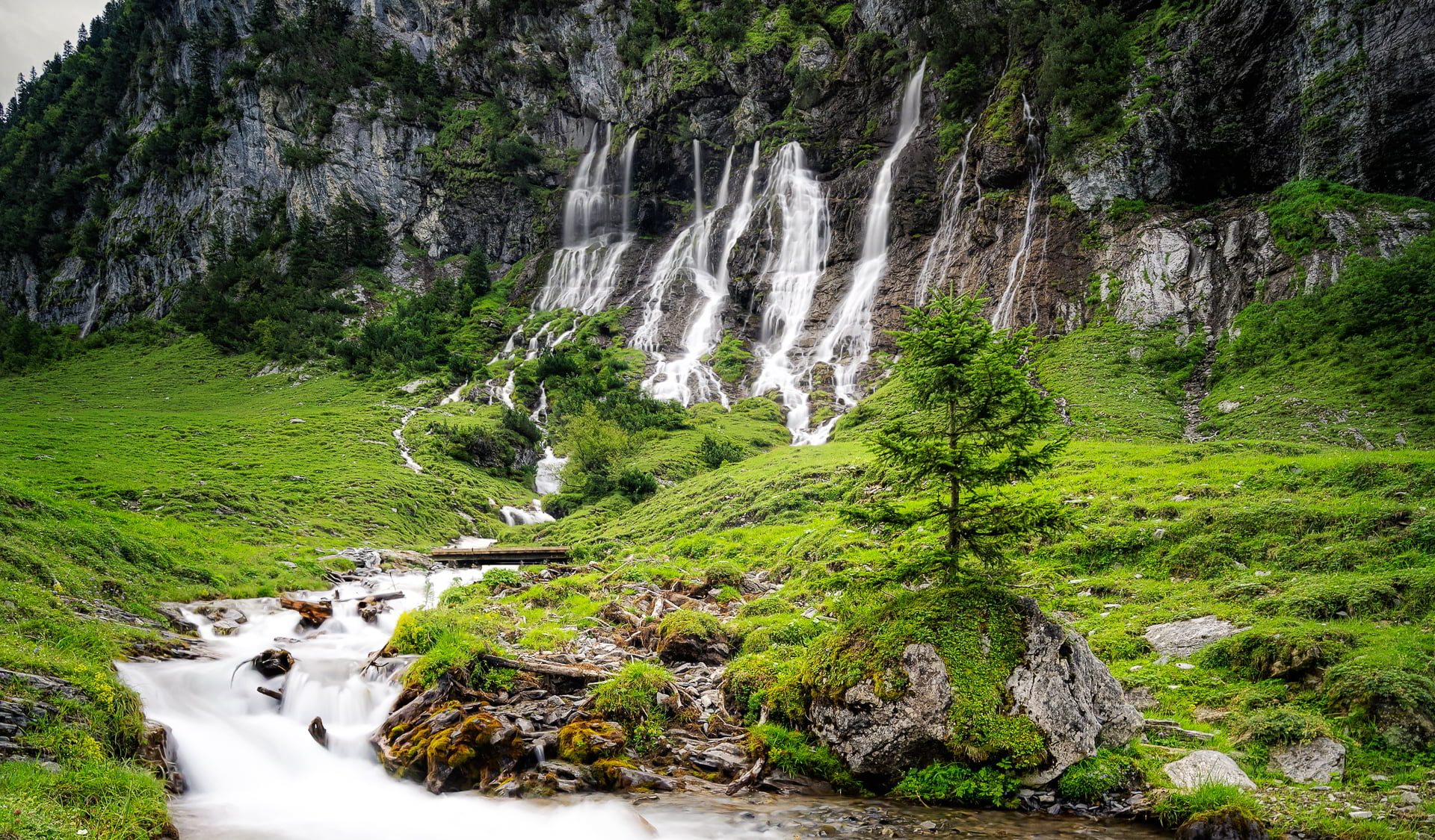 Bilderkarussell_-_1908_Wasserfälle mit Tanne