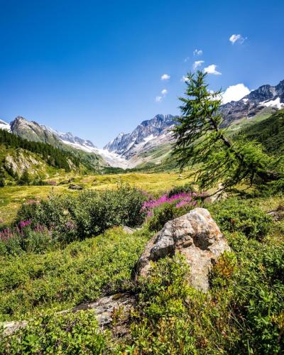 1808 Bergtal im Wallis