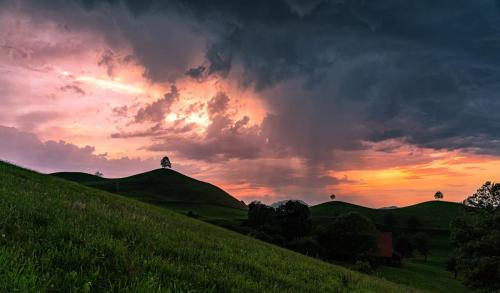 1906 Linden auf Hügel bei Unwetter