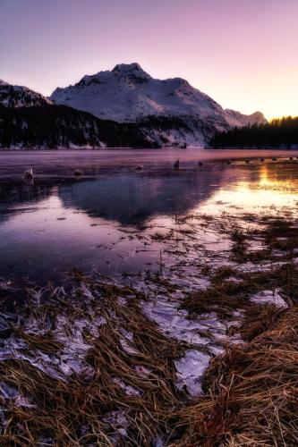 2001 Glühendes Eis bei Sonnenuntergang im Graubünden
