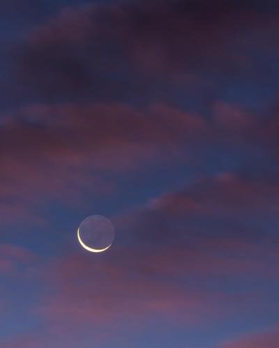 2011 Mondsichel am Morgenhimmel